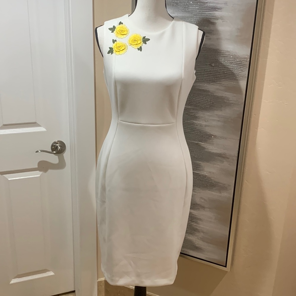 Calvin Klein Dress